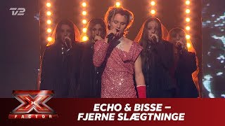 ECHO amp Bisse synger ’Fjerne slægtninge’  Bisse Live  X Factor 2019  TV 2 [upl. by Grados57]