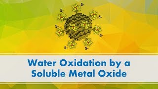 Short Video Water Oxidation by a Soluble Metal Oxide [upl. by Yesteb287]