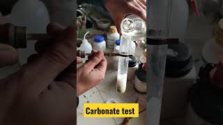 salt analysis Carbonate test class12 chemistry [upl. by Ahsinwad]