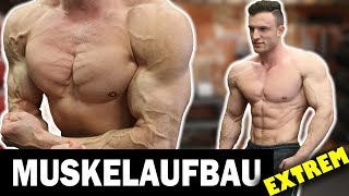 Das Beste 10 Minuten Brust Workout für Zuhause ohne Geräte [upl. by Eitnom]