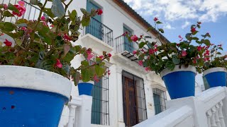 TOLOX MÁLAGA SIERRA DE LAS NIEVES RESERVA DE LA BIOSFERA 4K [upl. by Paz]