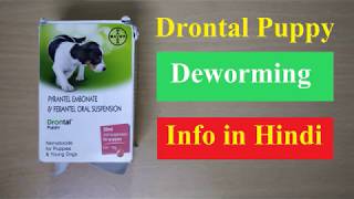 Drontal Puppy Deworming Medicine Information in Hindi [upl. by Osnofedli]