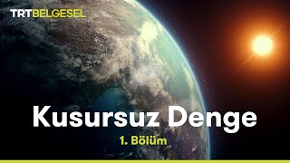 Kusursuz Denge  Dünya  TRT Belgesel [upl. by Ocnarfnaig]