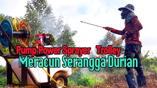 Aku beli OGAWA SY660R Trolley power sprayer Pengurusan kebun durian d’kebun andak [upl. by Caddric]