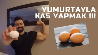 YUMURTADAN NE KADAR PROTEIN ALABİLİRİZ   YUMURTAYLA KAS YAPMAK [upl. by Romelle]