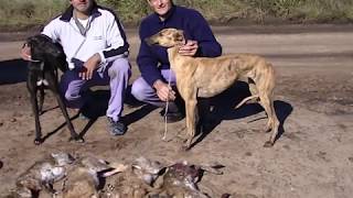 Galgos 2014 homenaje a la luna [upl. by Yhtur613]