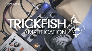 Trickfish Amplification Trilobite Effect Loop and Channel Switching Demo [upl. by Bergin191]