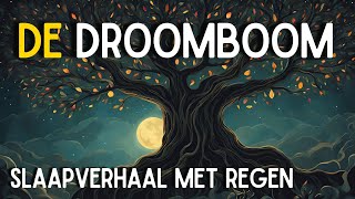 💤 Slaapverhaal met Regen 💤 De Droomboom [upl. by Adnohsak]