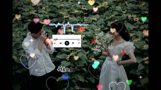 TIMRO MAYA MA CHEWANG LAMA  LYRICS VIDEO  TRANDING SONG [upl. by Milan187]