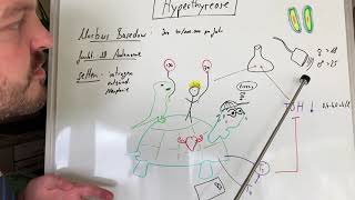 Hyperthyreose  Schilddrüsenüberfunktion [upl. by Elorak]