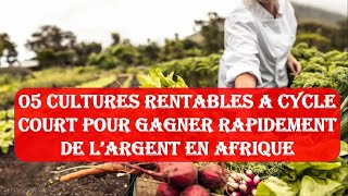 05 cultures rentables à cycle court pour gagner rapidement de largent en Afrique [upl. by Malim475]