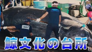 【くじら解体】和田浦 2023 ツチクジラ肉 捕鯨基地『鯨文化の台所』を見に行く🐋 [upl. by Hopper50]