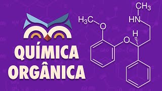 QUÍMICA ORGÂNICA  Comece aqui [upl. by Elwood231]