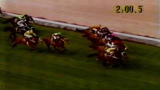 1991 MVRC MOONEE VALLEY W S COX PLATE Day Feature Races [upl. by Aicilanna315]