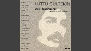 Bir Gönüle Aşk Girince [upl. by Daj]