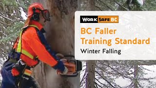 BC Faller Training Standard  Winter Falling 14 of 17 [upl. by Zeuqcaj632]