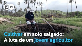 Cultivar em solo salgado A luta de um jovem agricultor em Cabo Verde [upl. by Brezin854]