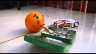 Stop Motion  El Señor Naranja [upl. by Hilbert]