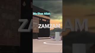 Fact about Zamzam Subhan Allah 🕋🥰 zamzam love shorts short shortvideo shortsvideo mecca [upl. by Nairot]