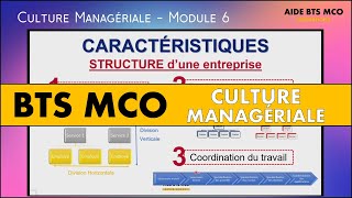 AIDE BTS MCO  Comment définir les structures des entreprises   CULTURE MANAGERIALE BTS [upl. by Abijah]