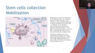 Hematopoietic stem cell transplantation [upl. by Stacia197]