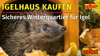 Igelhaus  Sicheres und artgerechtes Winterquartier [upl. by Dosh]