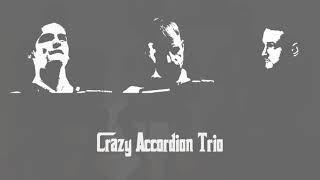 Crazy Accordion Trio  The Godfather Theme [upl. by Wilber]