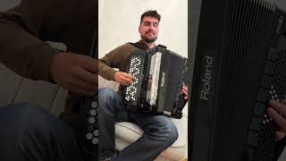 Married Life Theme from „Up” music accordion accordionplayer cover akordeon musician [upl. by Campos]