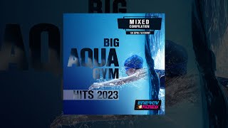 E4F  Big Aqua Gym Hits 2023 128 Bpm  32 Count  Fitness amp Music 2023 [upl. by Perzan666]