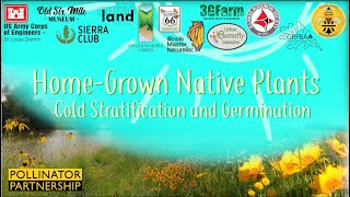 Home Grown Native Plants Ep 2 Cold Stratification and Seed Germination [upl. by Emlin]