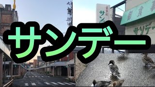 【板山】2024年2月11日の新発田市板山 食事処サンデー【新発田市】【ラーメン】【日本三大サンデー】【うまいラーメンがここにある】 [upl. by Neurath]