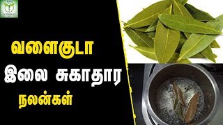 Health benefits of bay leaf  Tamil Health Tips [upl. by Vogele]