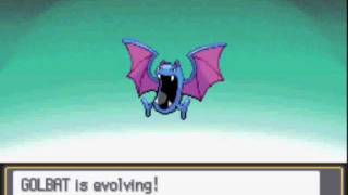 Pokemon Heart Gold  Golbat evolving to Crobat at level 26 [upl. by Nosloc]