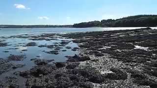 Eastern Cleddau estuary at Picton Landshipping Wales [upl. by Jez131]