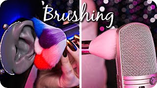 ASMR 𝙐𝙇𝙏𝙄𝙈𝘼𝙏𝙀 Mic amp Ear Brushing for DEEP Sleep NO TALKING 5 𝟑𝐃 Mics🎙 3Dio Rode Tascam Bob [upl. by Adnesor]