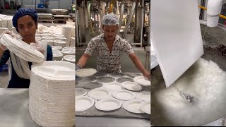 Disposable Paper Plate Factory in Pune  Biggest Indian Food Plate Factory [upl. by Gelasius558]