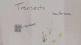 Transects basics [upl. by Brynne846]