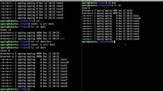 Linux  rsync 1  basic [upl. by Yrred]