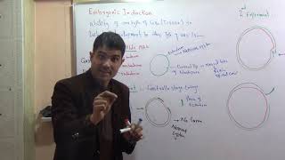 L7 Embryonic induction with spemann experiments in Urdu language by Dr Hadi [upl. by Elboa]