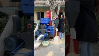 Mini Commercial Rice Mill Machine With Destoner 600KgHour Capacity ricemillmachine 3phase [upl. by Haidebej]