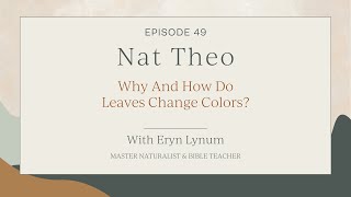 Why And How Do Leaves Change Colors Episode 49 [upl. by Lewanna]