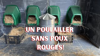 Il sest définitivement débarrassé des POUX ROUGES [upl. by Anyotal477]