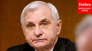 Jack Reed Leads Senate Armed Services Committee Hearing On National Defense Strategy Commission [upl. by Esinrahs]