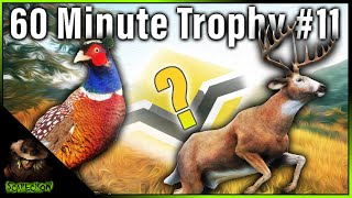 60 Minute Trophy Challenge 11 Rancho Del Arroyo Diamond Potential Whitetail Deer Call of the wild [upl. by Odranar]