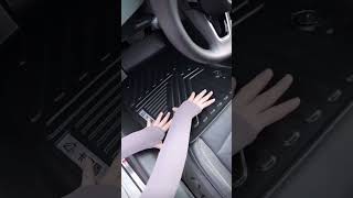 How to Keep Your Car CLEAN with the LAZIEST Floor Mats Ever carcleaninghackscardetailingfloormats [upl. by Lail613]