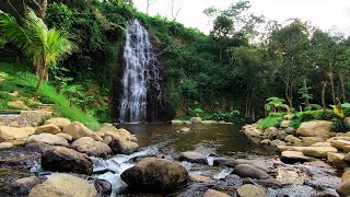 Relaxing with River Sound of a Gently Flowing Waterfall for sleep therapy studying stress relief [upl. by Frick]