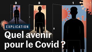 Covid 19  à quoi ressemblera la fin de la pandémie [upl. by Okoyik]