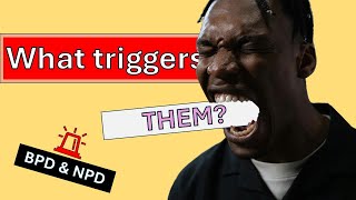 The many TRIGGERS of a BPD and NPD [upl. by Notlaw]