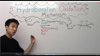 Hydroboration Oxidation Mechanism Made Easy  Part 1   Organic Chemistry [upl. by Paloma]