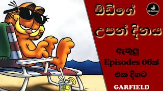 ගාෆිල්ඩ් episodes 06 එක දිගට  Garfield sinhala show Part 6Mrcartoon [upl. by Ingra]